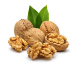 walnut