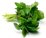 watercress